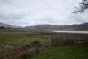 IMG_6669.jpg